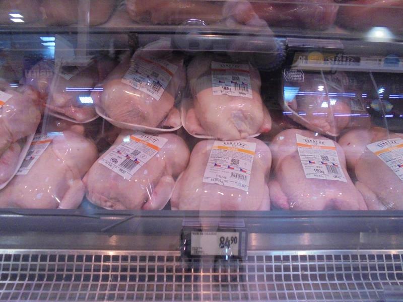 Ilustrační fotografie č. 7