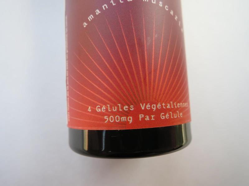 Ilustrační fotografie č. 2