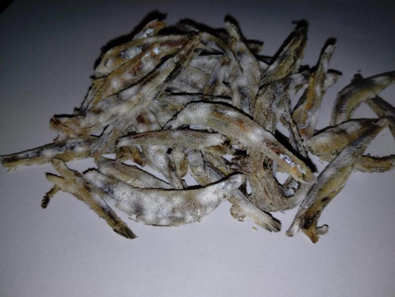 Ilustrační fotografie č. 7