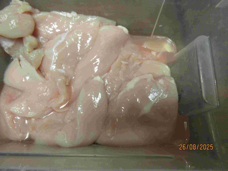 Ilustrační fotografie č. 2