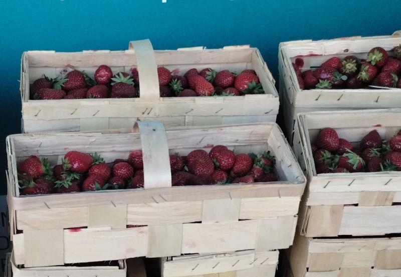 Jahody, země původu Polsko, jakost I.