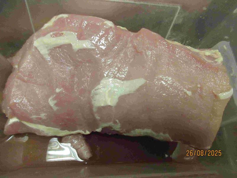 Ilustrační fotografie č. 2