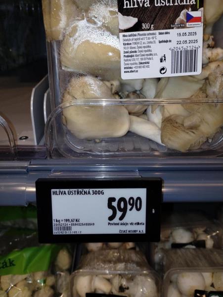 Ilustrační fotografie č. 3