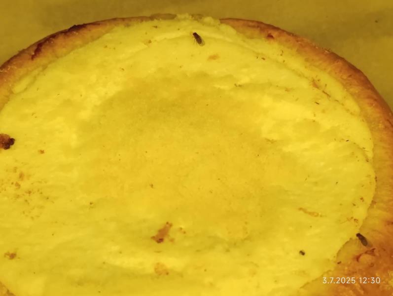 Ilustrační fotografie č. 4