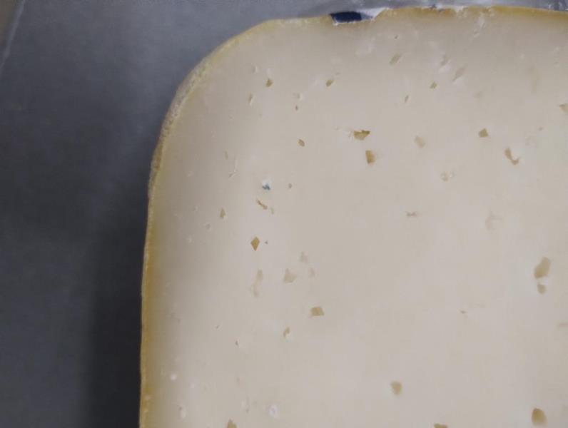 Illustrative photo no. 2