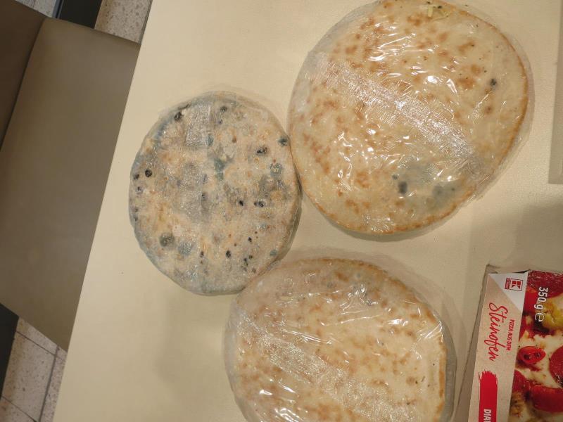 Illustrative photo no. 5