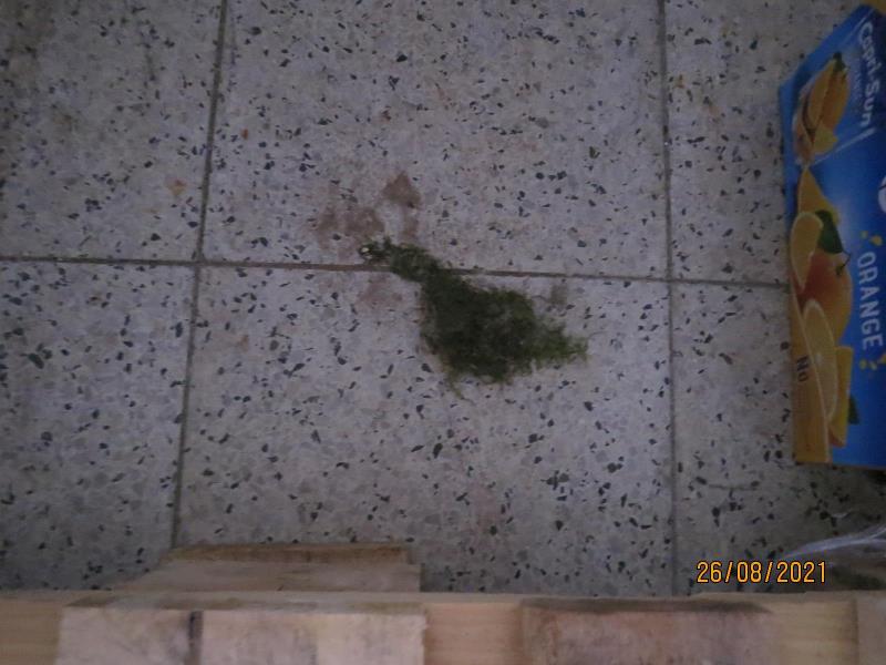 Illustrative photo no. 8