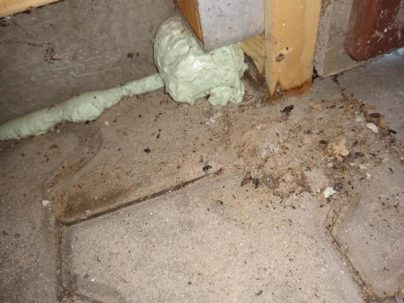 Illustrative photo no. 5