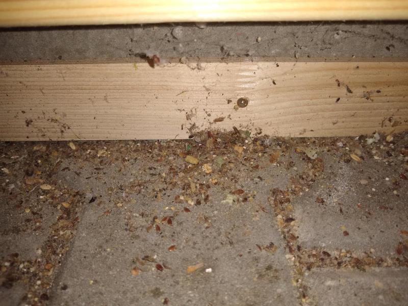 Illustrative photo no. 9