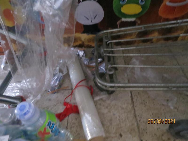 Illustrative photo no. 9