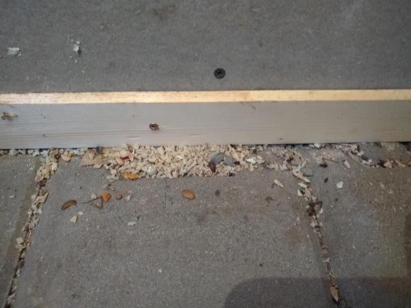 Illustrative photo no. 7