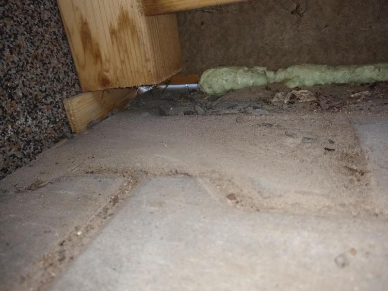 Illustrative photo no. 10