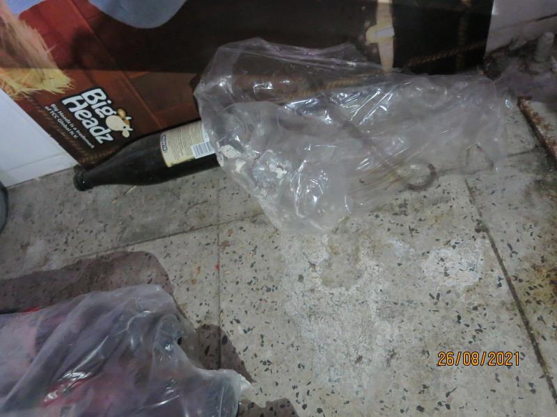 Illustrative photo no. 12