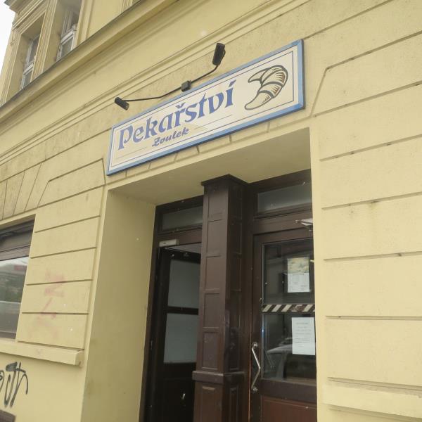 PETR ZOULEK