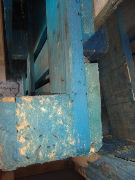 Illustrative photo no. 6