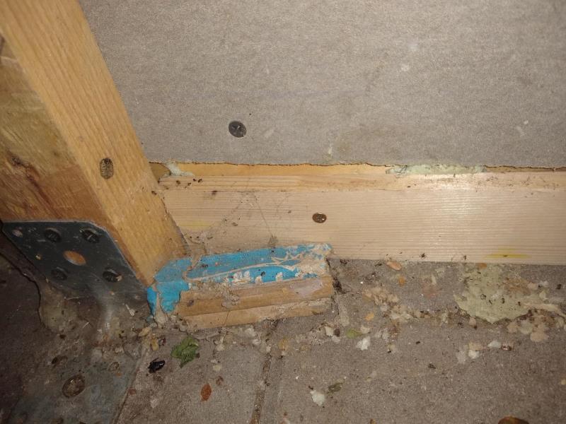 Illustrative photo no. 8