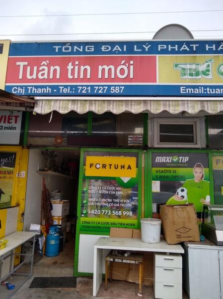 Vu Tran Trong