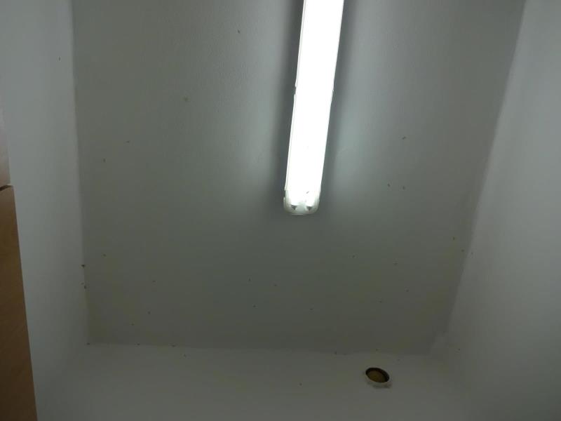 Illustrative photo no. 8