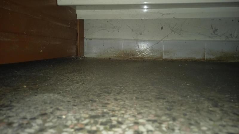 Illustrative photo no. 3