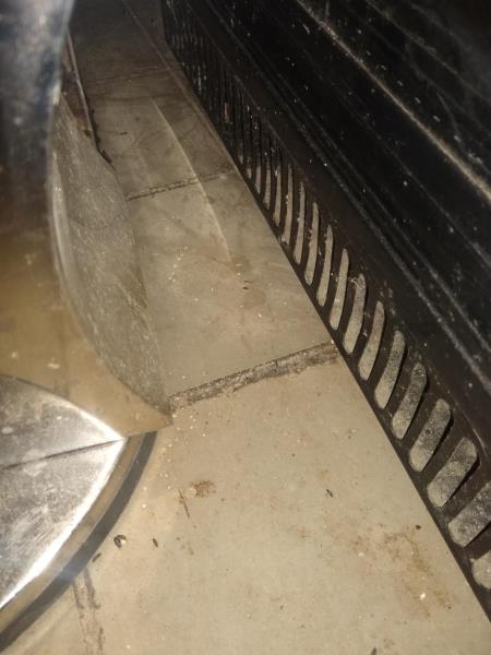 Ilustrační fotografie č. 7