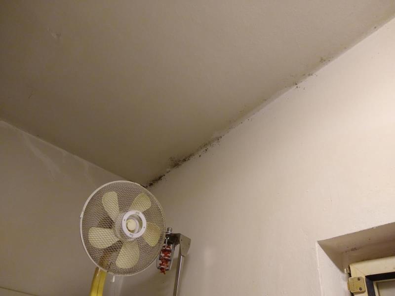 Ilustrační fotografie č. 2