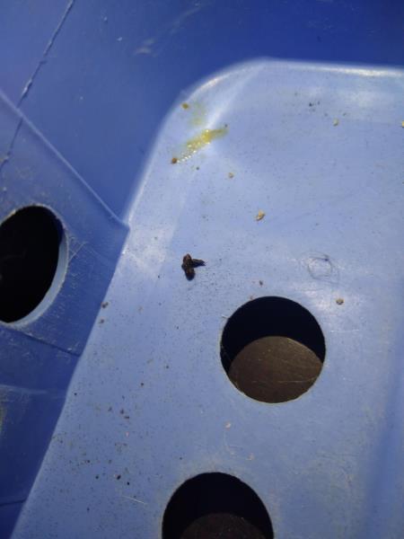 Ilustrační fotografie č. 13