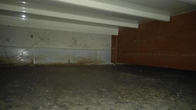 Illustrative photo no. 4