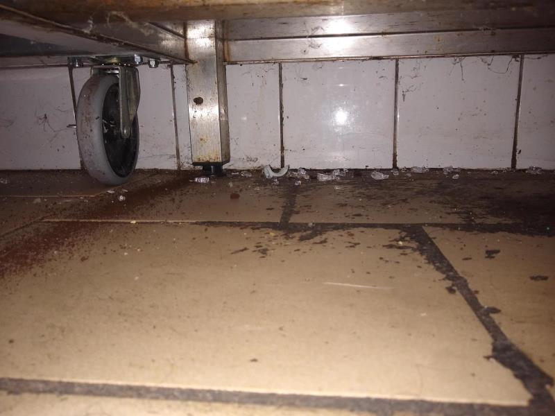 Ilustrační fotografie č. 4