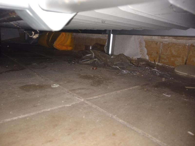 Ilustrační fotografie č. 11