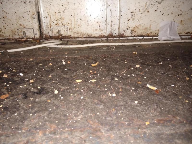 Ilustrační fotografie č. 5