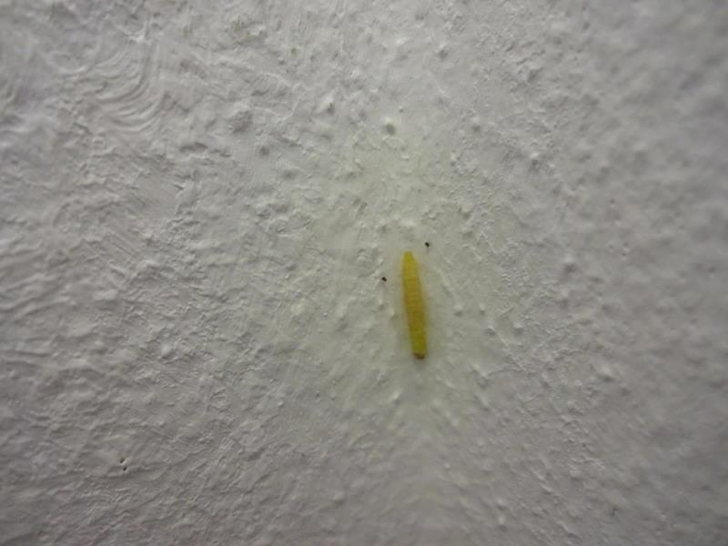 Illustrative photo no. 7