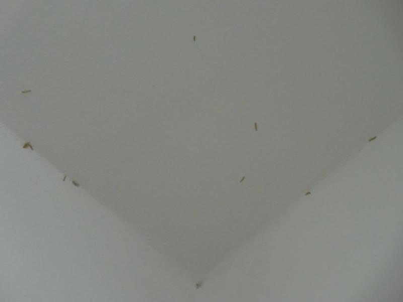 Illustrative photo no. 10