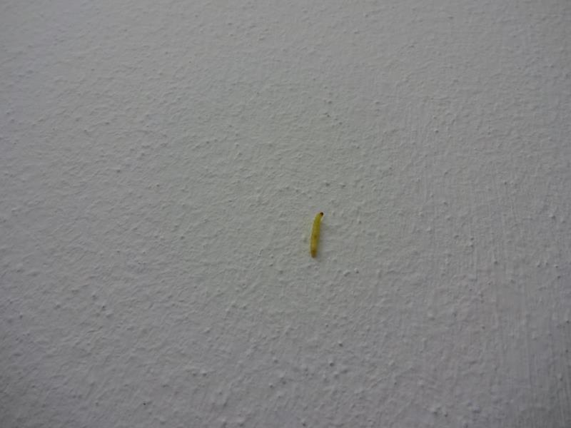 Illustrative photo no. 3