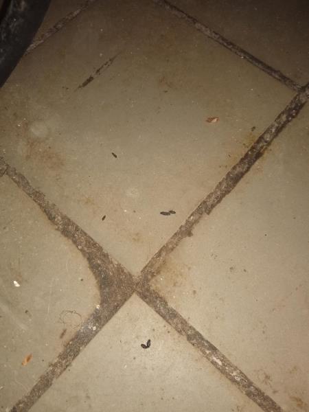 Ilustrační fotografie č. 6