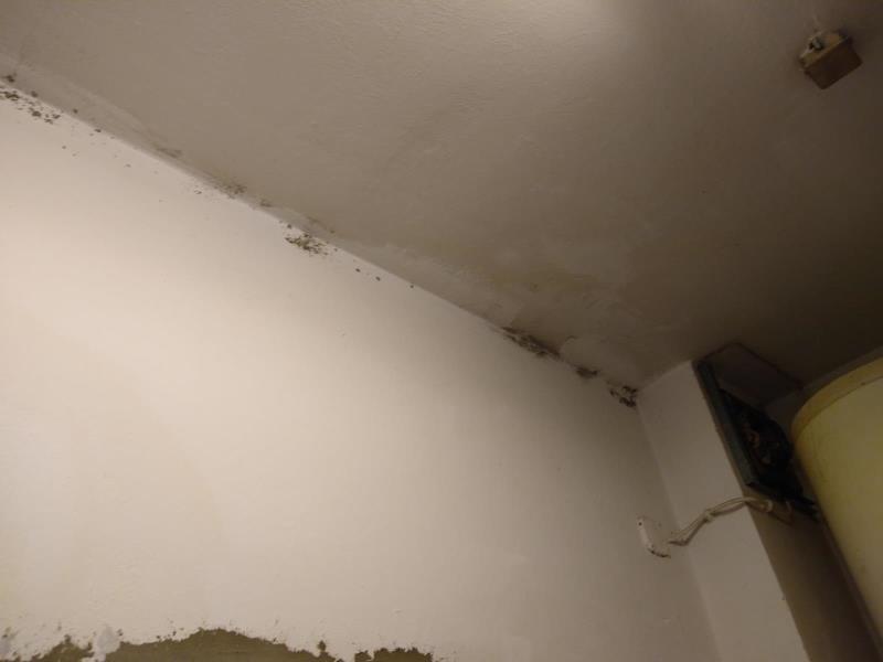 Ilustrační fotografie č. 3