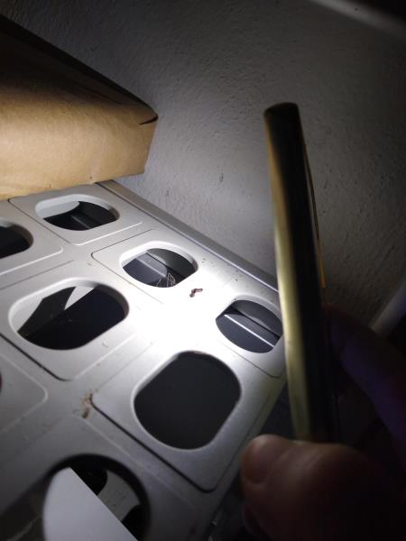 Ilustrační fotografie č. 17