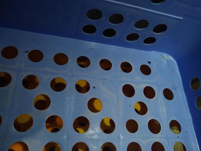 Ilustrační fotografie č. 12