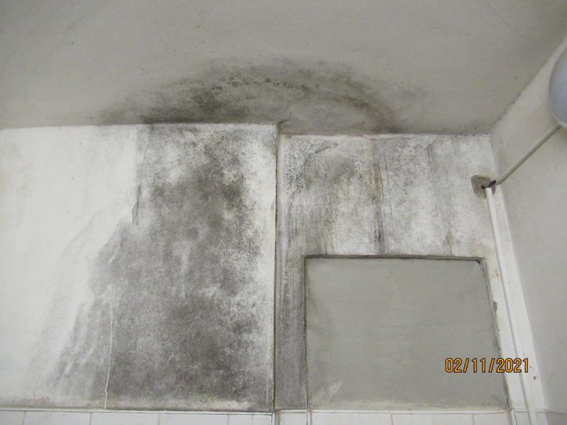 Illustrative photo no. 8