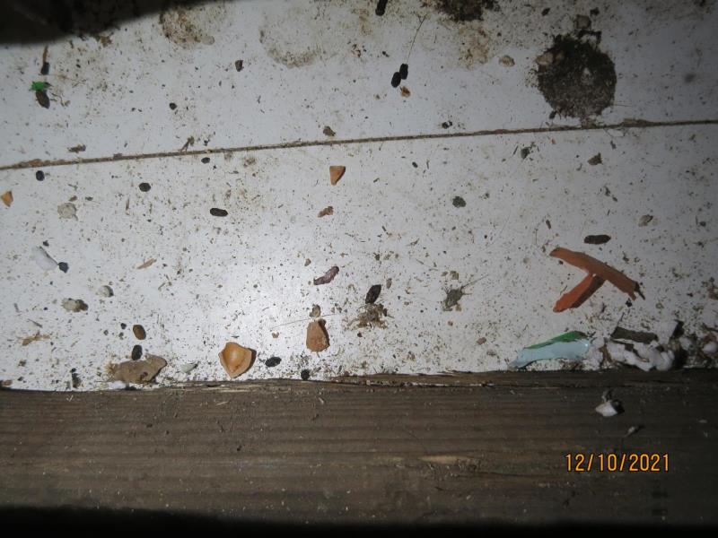 Illustrative photo no. 8