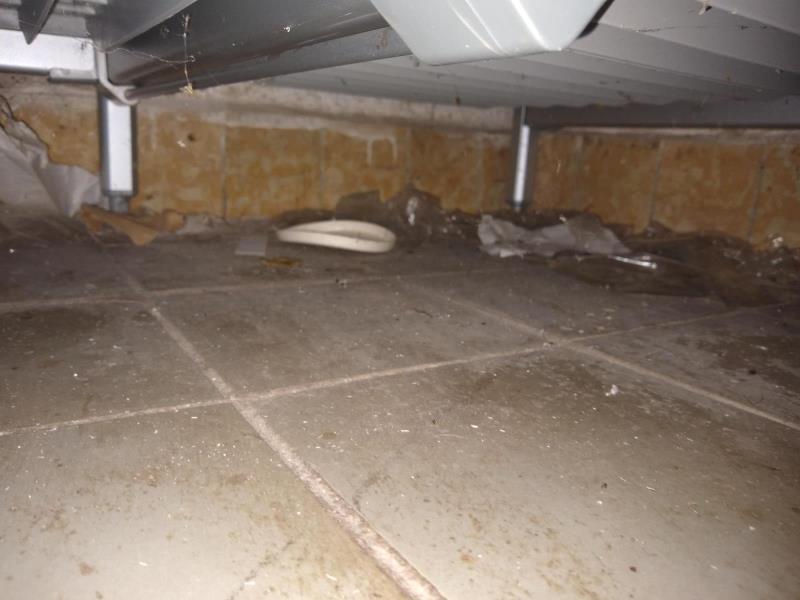 Ilustrační fotografie č. 10