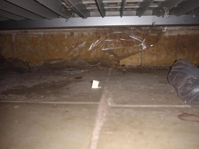 Ilustrační fotografie č. 16