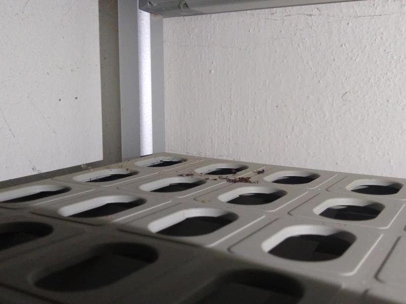 Ilustrační fotografie č. 18