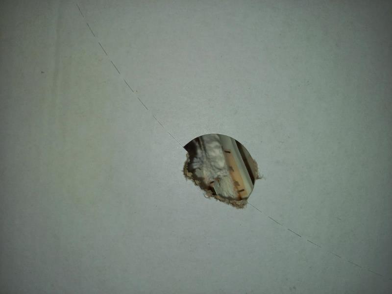 Illustrative photo no. 7