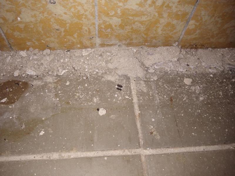 Ilustrační fotografie č. 14