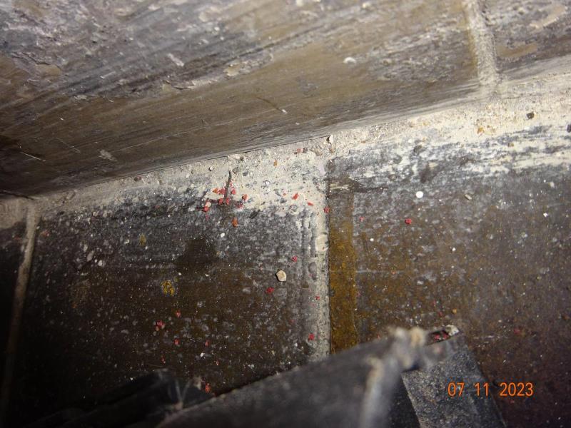 Illustrative photo no. 8