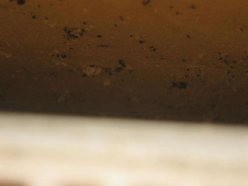 Illustrative photo no. 8