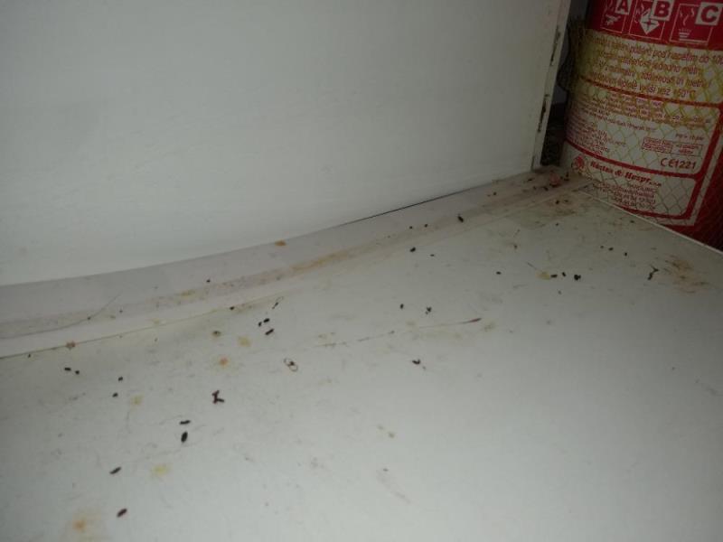 Illustrative photo no. 8