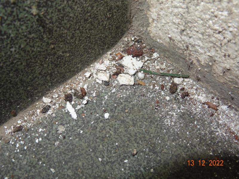 Illustrative photo no. 9