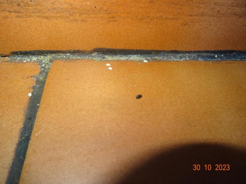 Illustrative photo no. 5