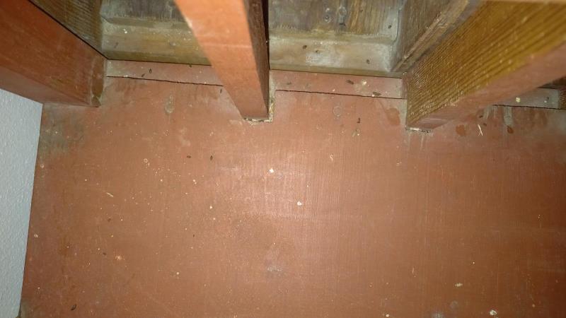 Illustrative photo no. 6